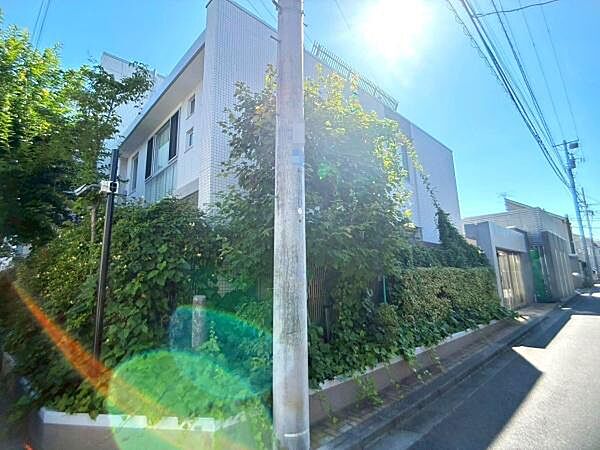 【現地】戸建に囲まれた閑静な住宅地の環境。陽当たり・通風環境良好です。