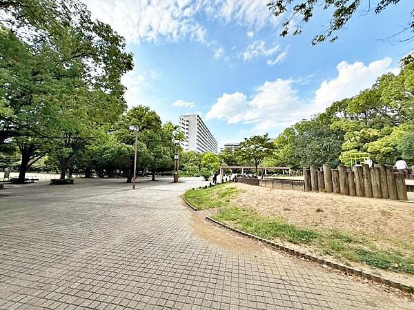 夏の雲公園まで673m