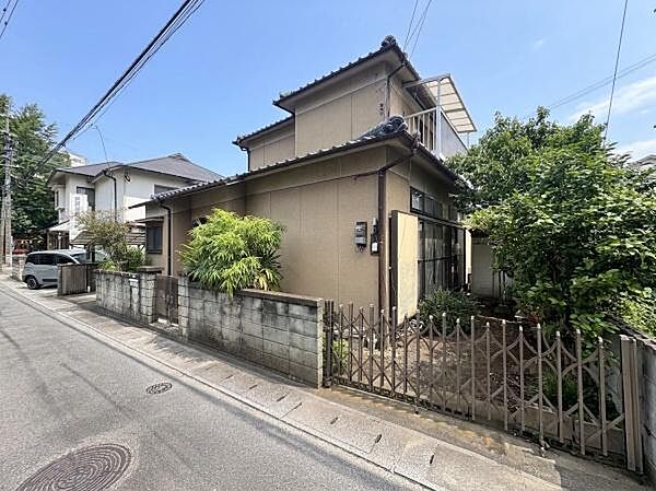 現地写真(2026年6月撮影)