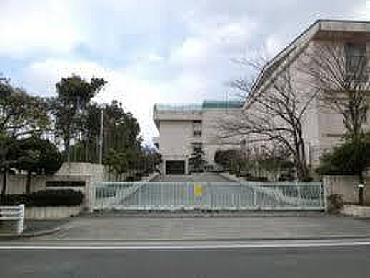 豊橋市立富士見小学校まで1195m