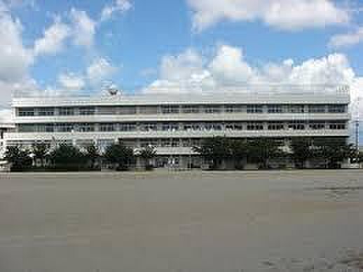 豊橋市立中野小学校まで1064m、豊橋市立中野小学校