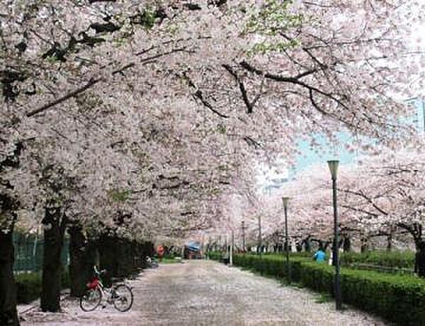 南天満公園まで1640m、徒歩21分♪春は桜並木が綺麗です♪