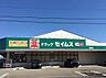 周辺：ドラッグセイムス加納店まで1285m、医薬品から日用品、食品まで揃う『ドラッグセイムス』が近く、毎日の健康管理や消耗品の買い足しに便利です。