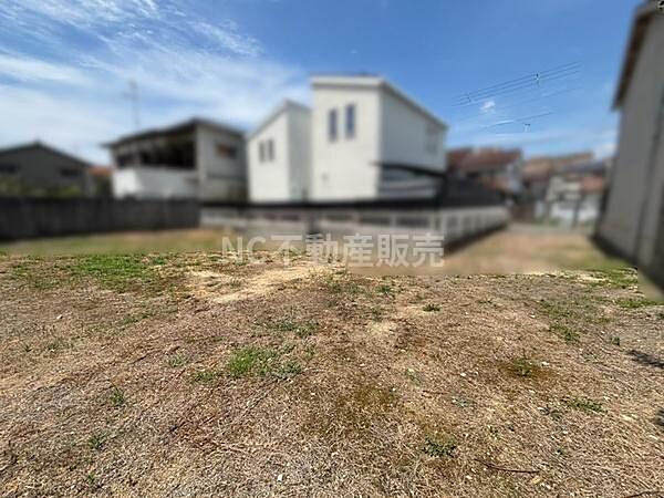 現地の様子がしっかりと確認できる前面道路を含む写真です。敷地の広がりや周辺環境も見やすく建築や計画の際にイメージしやすい状況です。道路との接道状況も確認可能で各種プラン検討にも役立ちます。