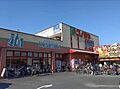 コノミヤ大蓮東...