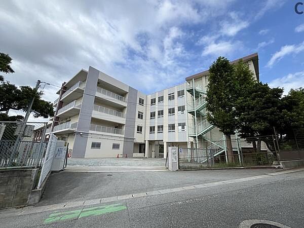 福岡市立名島小学校まで284m、福岡市立名島小学校