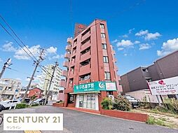 丸美ロイヤル道徳