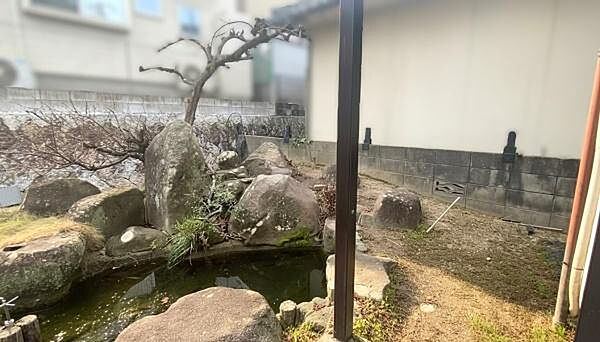 暖かい時期には緑あふれる庭が広がり自然を感じる環境となっています。石や植栽が配されていて和の雰囲気も楽しめます。池があり落ち着いた和の空間が演出されています。