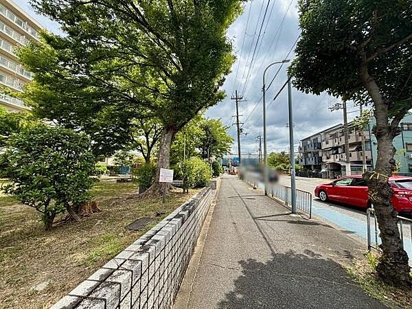 前面道路含む現地写真です