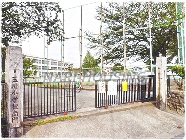 昭島市立玉川小学校まで464m