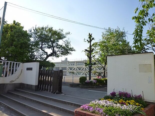立川市立柏小学校まで1398m