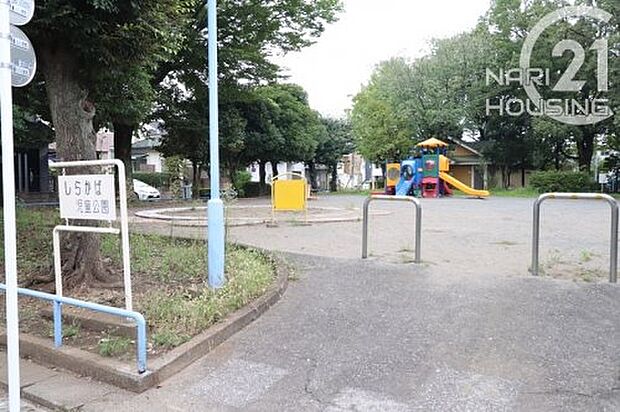しらかば公園まで55m