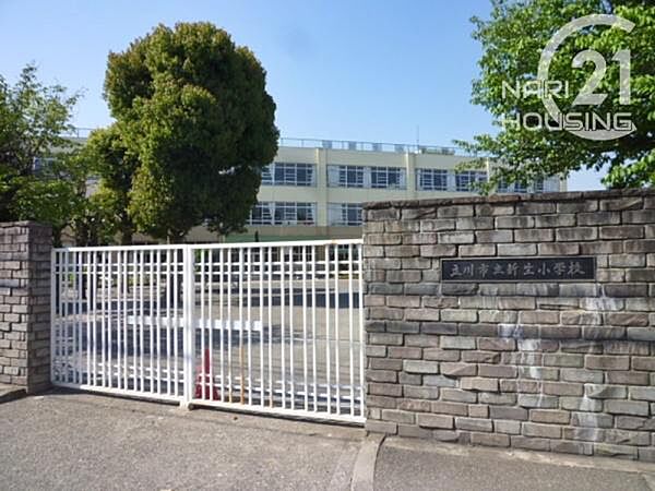 立川市立新生小学校まで433m
