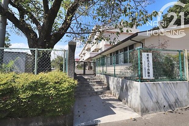 あきる野市立御堂中学校まで2079m