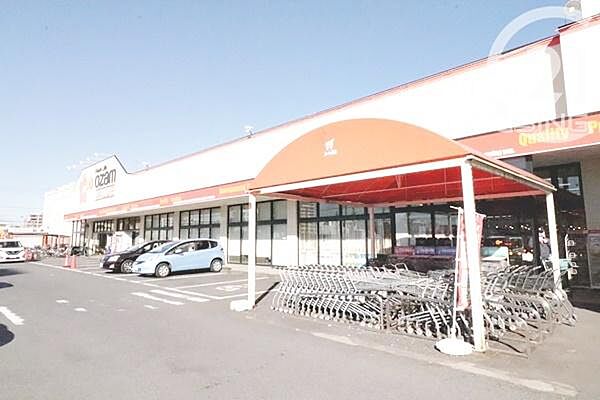 オザム　バリュー羽村店まで1141m