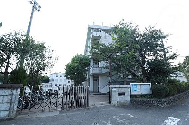 羽村市立羽村東小学校まで2001m