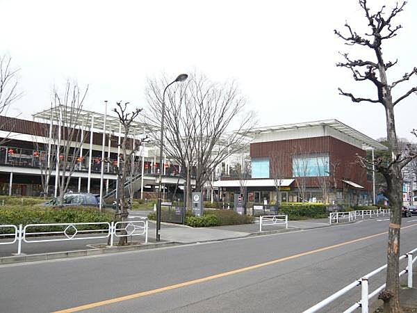 若葉ケヤキモールまで1225m
