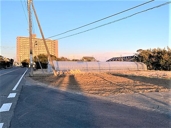 外観：312001166528