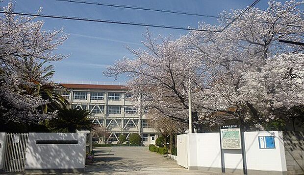 館山市立北条小学校まで1524m