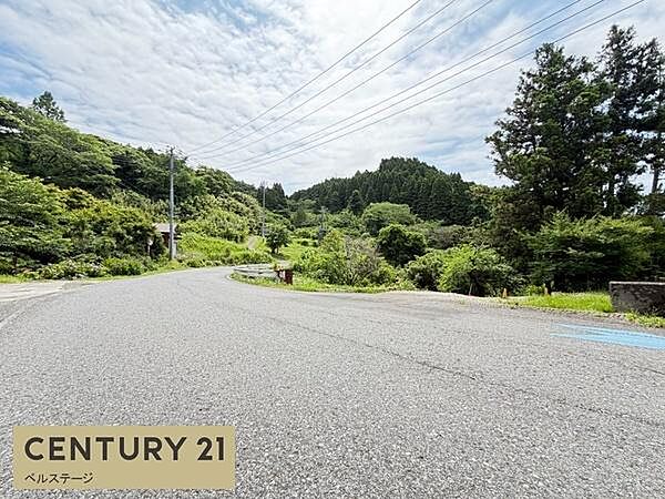 落ち着いた住環境の前面道路