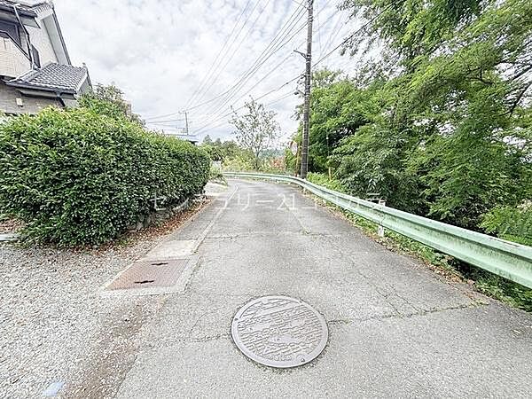 前面道路を含む現地写真