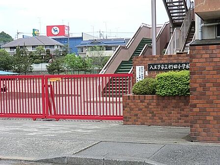 八王子市立椚田小学校まで800m