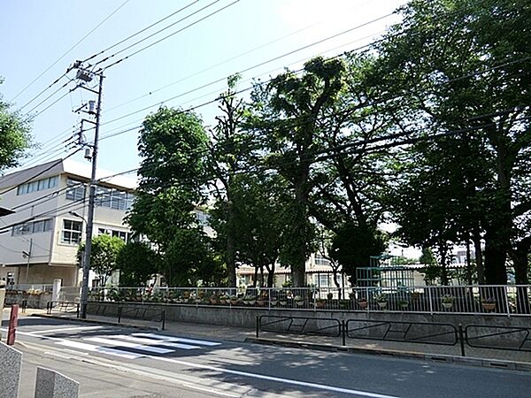 八王子市立第一小学校まで558m