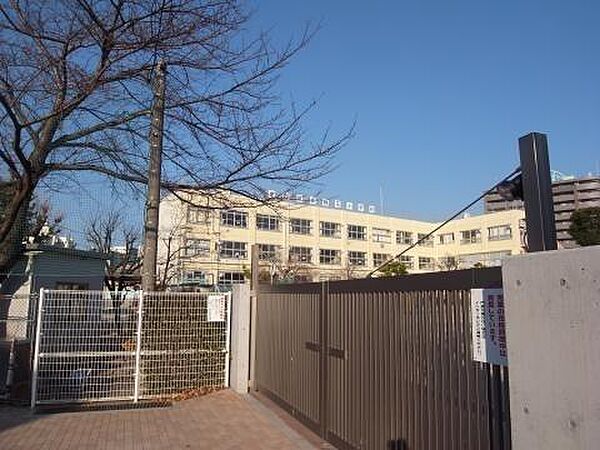 中野区立桃花小学校まで568m