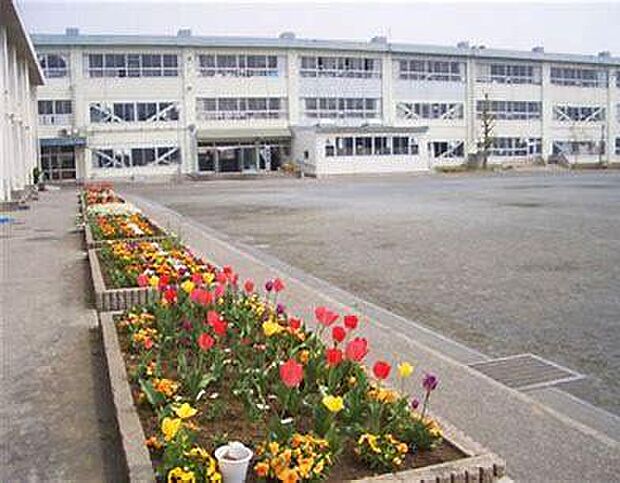 茅ヶ崎市立松林小学校まで450m