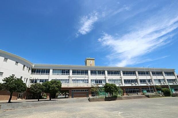 寒川町立南小学校まで240m
