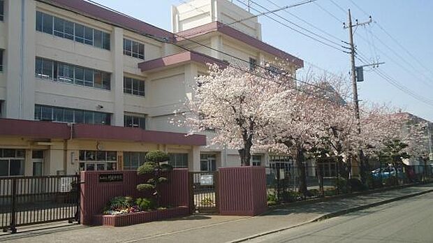 茅ヶ崎市立円蔵中学校まで600m