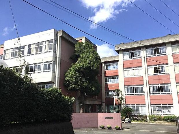 藤沢市立高倉中学校まで2200m
