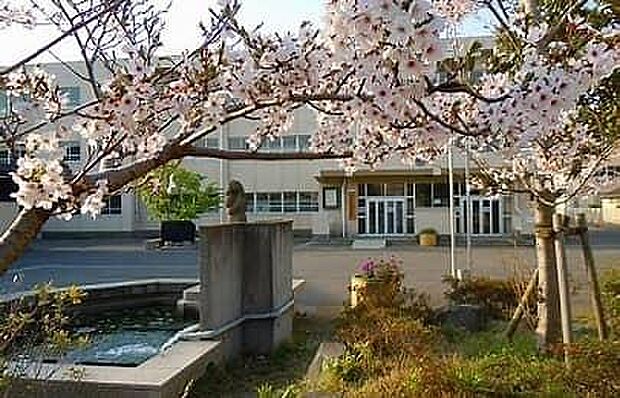 茅ヶ崎市立第一中学校まで800m