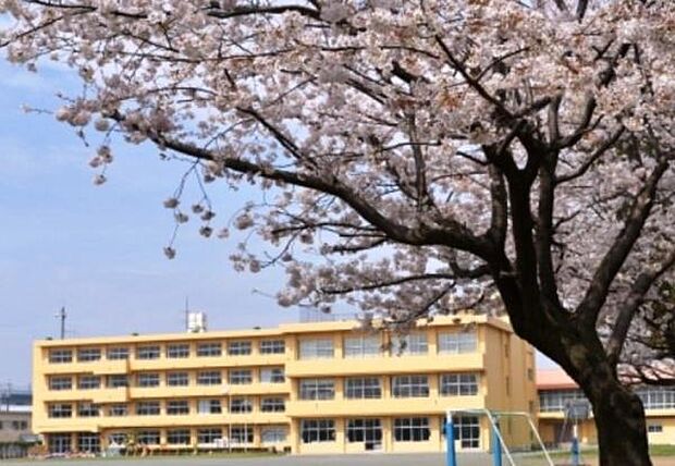 海老名市立社家小学校まで740m