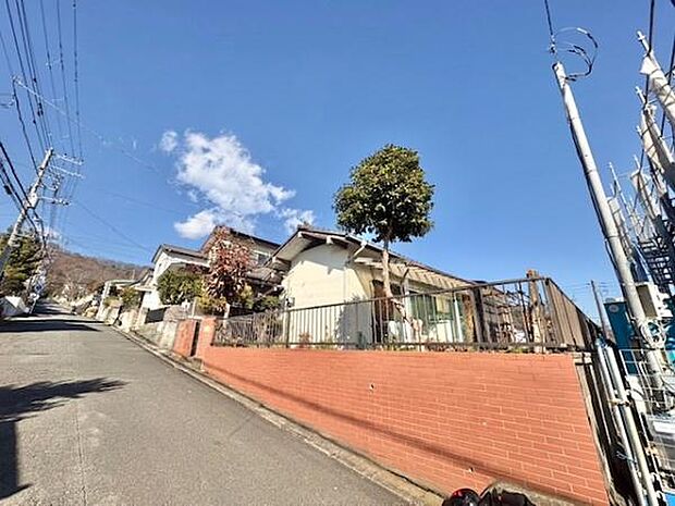 南側から撮影