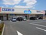 周辺：ウエルシア水戸千波店
