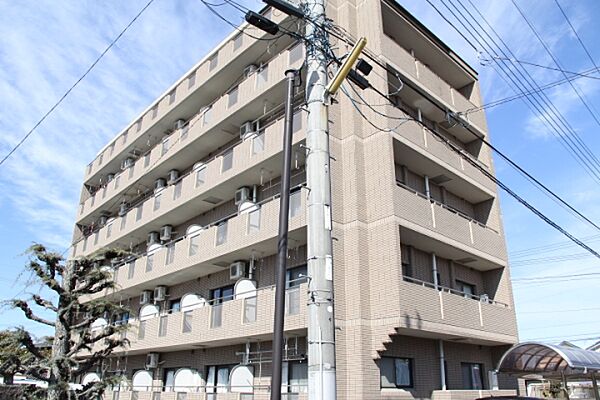 ルマタン・ドール 306号室｜茨城県水戸市姫子(賃貸マンション1DK・3階・42.75㎡)の写真 その1
