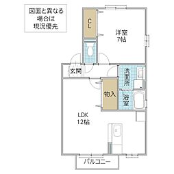 グラシアスC 1LDKの間取図画像