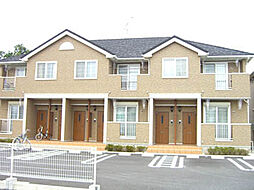 ハオスエーデルワイス II