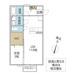 パルコートM B 1階1LDKの間取り