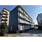 自由ヶ岡シティーハウス 4階 築39年8ヶ月の賃貸物件