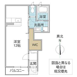 カーサ・チェレステ 1階ワンルームの間取り