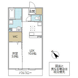 パークドオートムD 1LDKの間取図画像