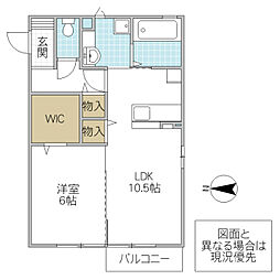 アベニール 1LDKの間取図画像