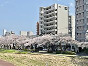 水戸駅より徒歩6分 10階 築6年8ヶ月の賃貸物件