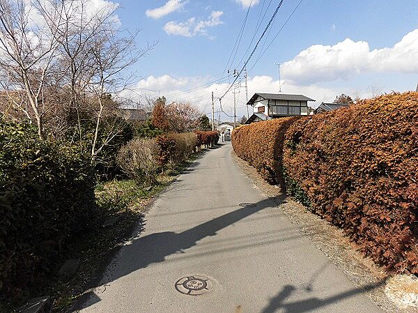 道路