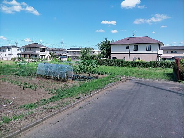 外観：308000148191
