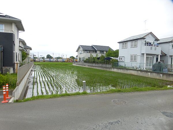 外観：308000147448