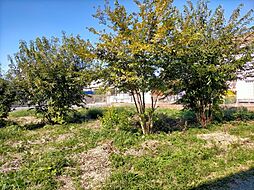 茨城県石岡市東大橋