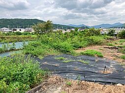 茨城県笠間市稲田